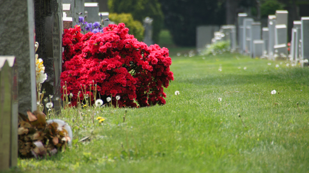 sorabji.com: St. John Cemetery