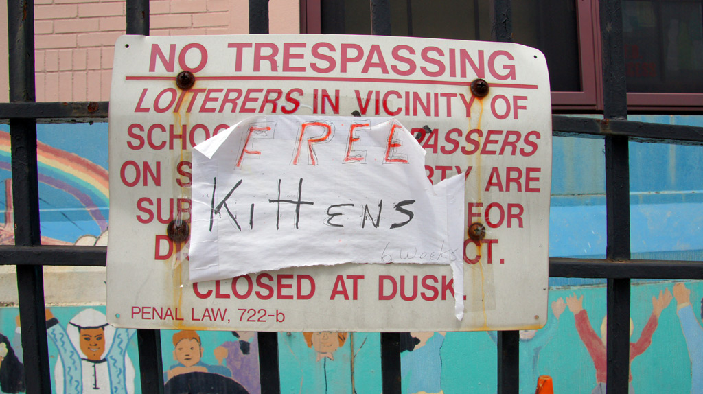 sorabji.com: Loiterers in Vicinity of Free Kittens