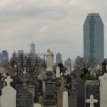 DSC00513.JPG