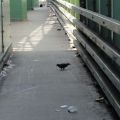 DSC00670.JPG