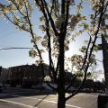 DSC00001.JPG