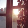DSC00026.JPG