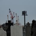 DSC00506.JPG